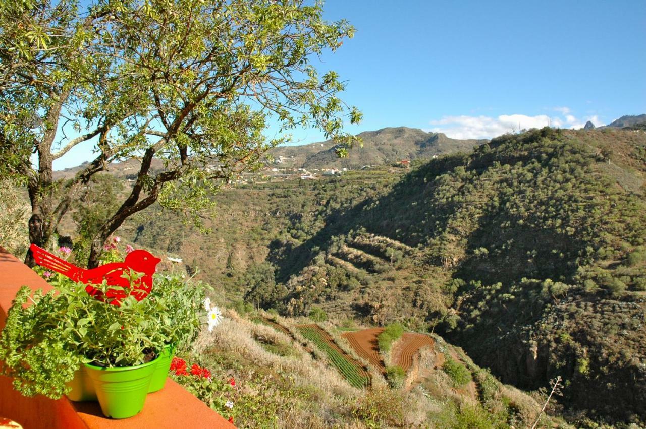 Vila Tres Almendros By I N Z U L A E Vega de San Mateo Exteriér fotografie